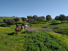 Israel-North-On Horseback in the Land of Galilee